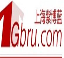 上海紫博蓝网站建设公司
