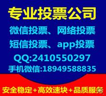 芜湖新安网络科技有限公司
