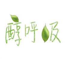 醇呼吸(北京)健康管理有限公司