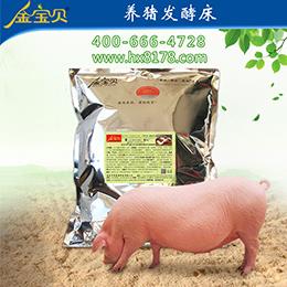 发酵床养猪减少病发率