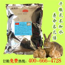 发酵床圈养野兔管理技术