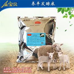 发酵床养羊饲养方法，招商