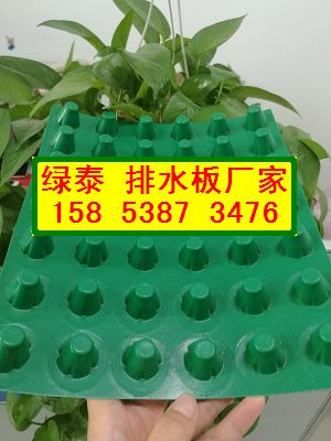 长沙-车库绿化排水板∮塑料排水疏水板15853873476