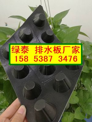 低价供应】襄樊12高塑料透水板‰车库专用排水板