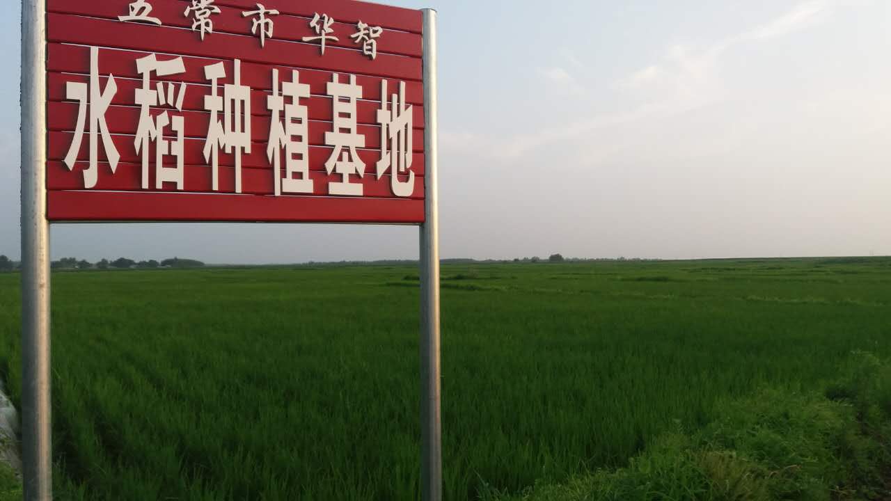 五常市华智水稻种植专业合作社