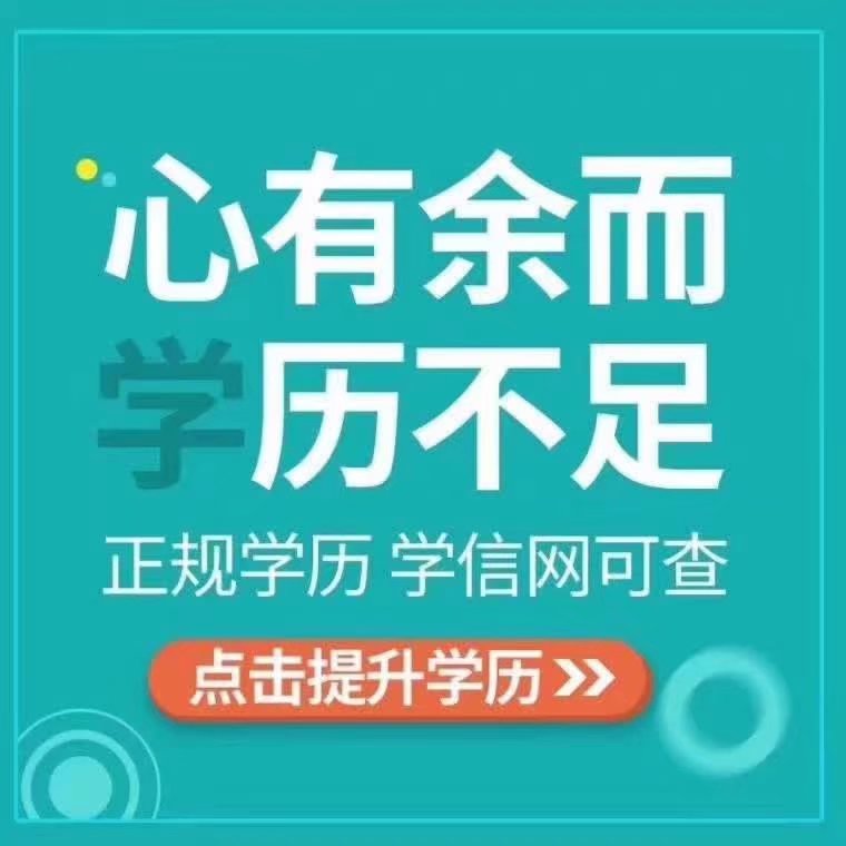 东北师范大学网络教育本科专业设置北京可以招生吗