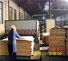 木材真空干燥机|单板节能干燥机|单板木材干燥机