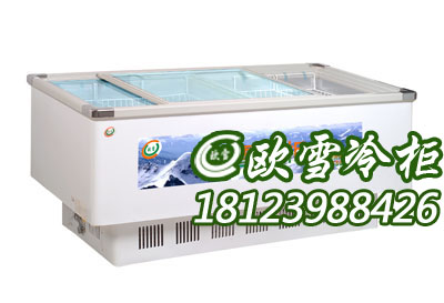 上海卧式冷冻柜一般在什么价位