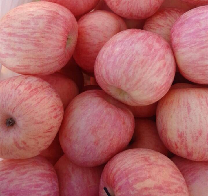 山东苹果产地红富士苹果价格信息