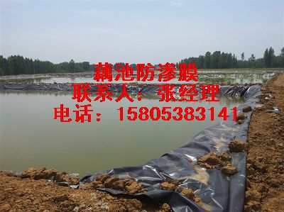 【推荐】高密度HDPE土工膜景观湖河道防渗专用材料