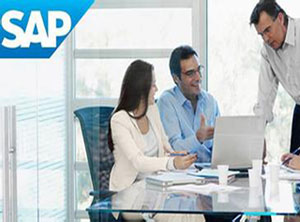 SAP分销贸易行业ERP系统 尽在MTC SAP分销代理商