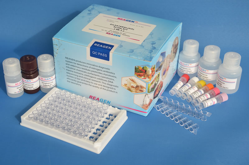 氯霉素RND99001检测试剂盒