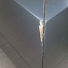 浦东新区木地板划痕修复 房门撞伤维修补漆