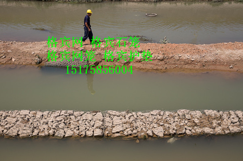 黄河堤坡抛石护岸固滨笼 生态河渠护坡固滨笼