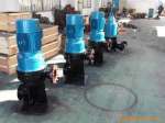 65WL60-13-4立式排污泵厂家