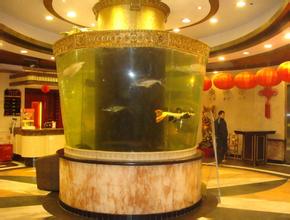 上海杨浦起运专业清洗鱼缸公司保养鱼缸