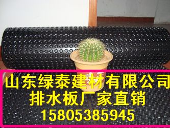 南京HDPE车库排疏板&凸台排水板