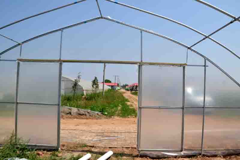 花卉拱棚建造种类黄山西红柿温室建造报价