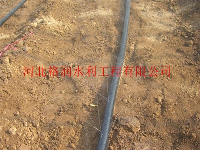 仪陇县PE软管|聚乙烯软材质