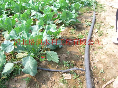 16毫米滴灌管|沁源县蔬菜大棚灌溉