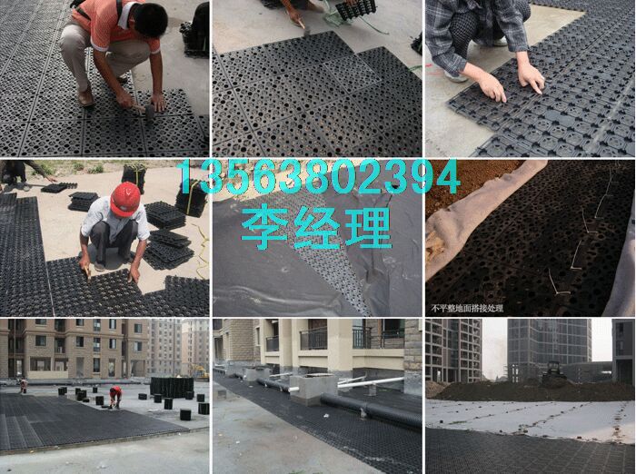 疏水板厚度:郑州绿化疏水板施工图【耐高压不变形】