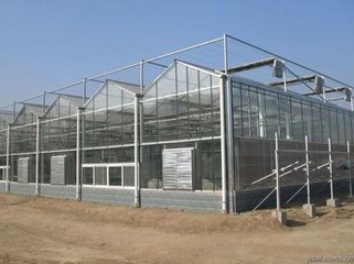 承建北京市蔬菜大棚、育苗室、花卉大棚、温室大棚