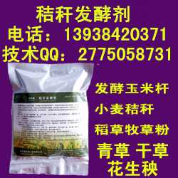 湖南衡阳发酵干的玉米秸秆喂羊喂牛喂猪技术方法哪有卖的