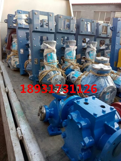 导热油泵型号RY65-40-200-RY65-40-250导热油泵
