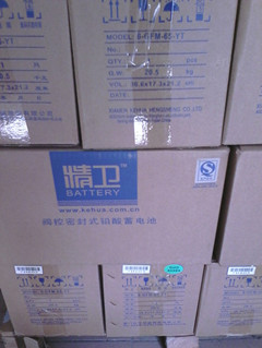 科华电池广州批发代理商机电设备配套用电源乐声电池销售价