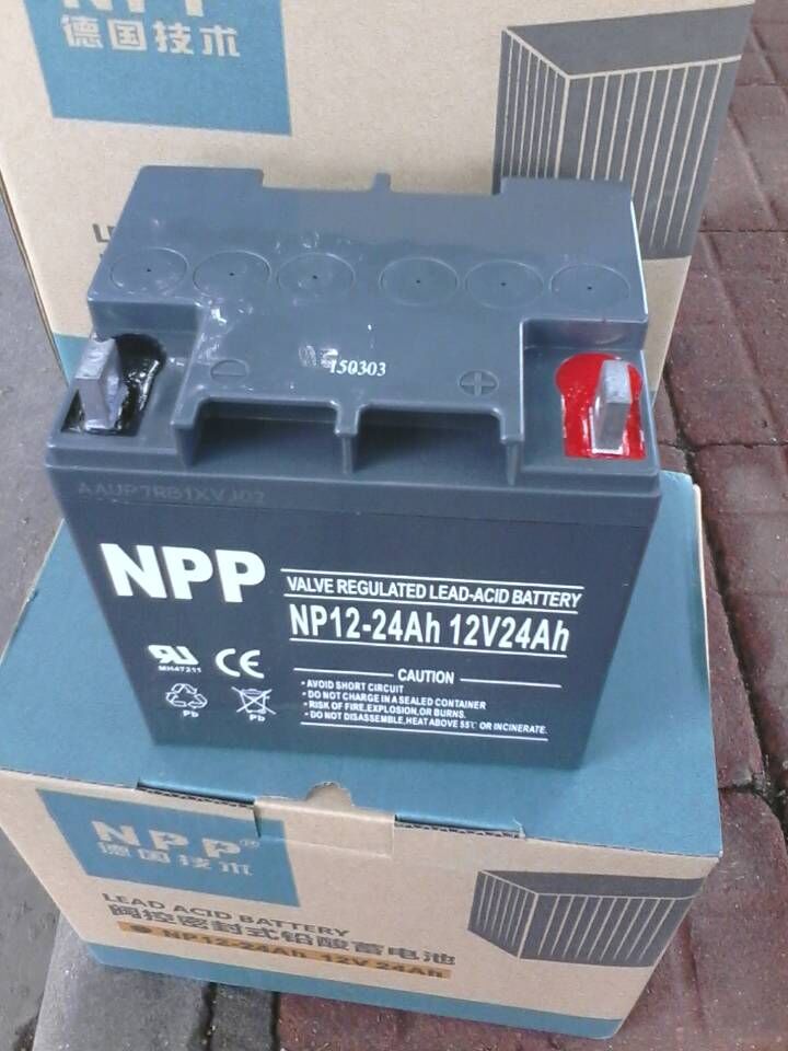 耐普电池NP12-24(12V24AH)广州代理报价德国技术