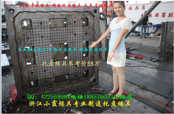 台州专做塑料模具 1.3米塑料双面托盘模具 1.3米塑胶托盘模具厂家