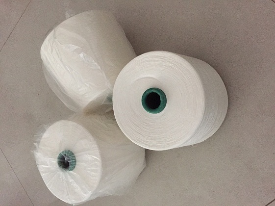 织带专用丝光棉80s/2丝光棉线