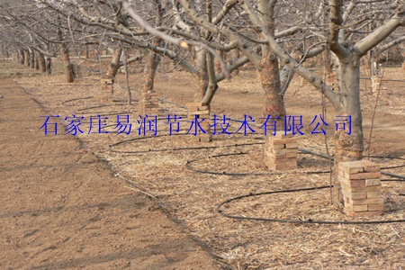 宁陕县果树、园林绿化专用果树滴灌型号