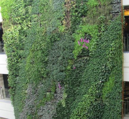 武汉植物景观植物墙景墙哪家专业