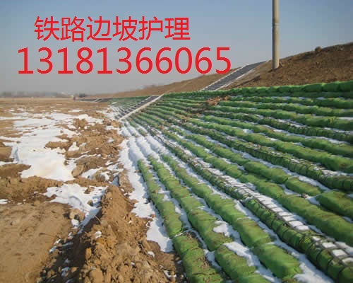 江苏南京生态袋,河道绿化生态袋,生态袋河道驳岸