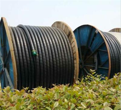 苏州新区回收电缆线公司