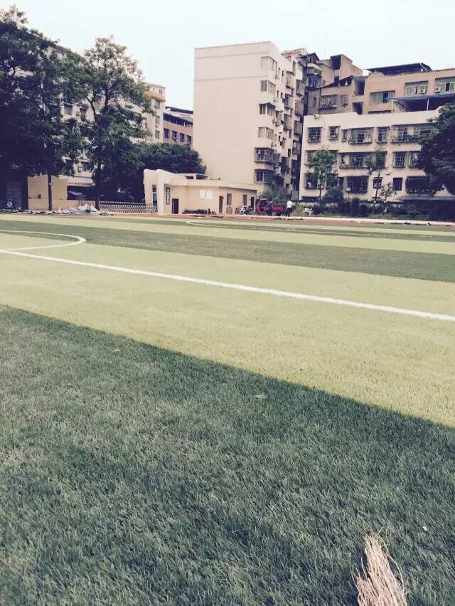 天津足球草坪施工