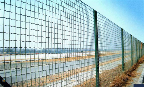 伊林现货德州养殖场围栏/养鸡场包塑围栏网/养鸭场专用铁丝网