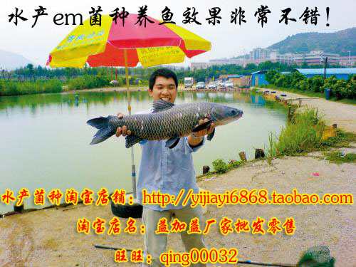 江苏镇江养鱼专用水产菌种什么价格