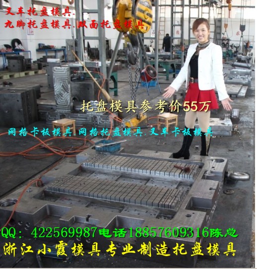 中国1.2x1m网状双向托盘模具