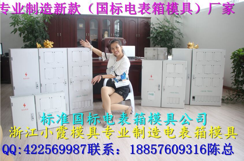 台州模具厂 7表塑胶电表箱模具 单相注射电表箱塑料模具价位