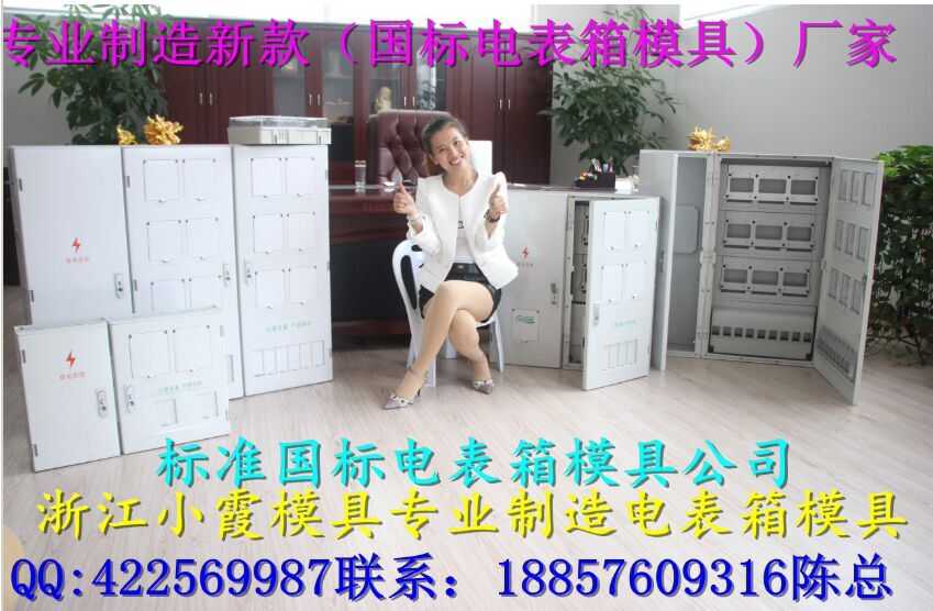 台州国网标准单相六位电表箱注塑模具公司地址
