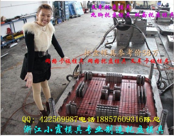 浙江模具公司 DB9黄岩汽车注射模具制造 中国汽车注射模制造