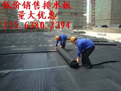 屋顶绿化排水板 屋面种植排水板 邵阳排水板厂家