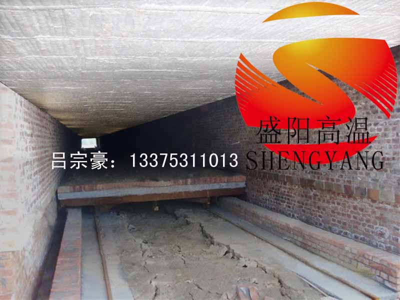 供应隧道窑吊顶保温模块行业