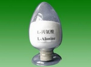 厂家直销L-丙氨酸GB 25543-2010