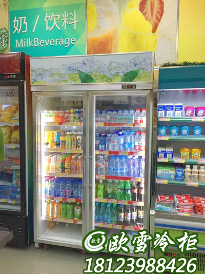 上海立式冷冻展示柜饮料冷藏柜图片 欧雪冷柜