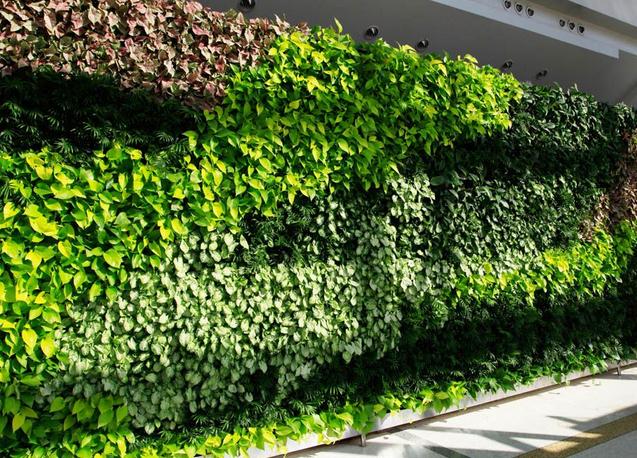 黄石安友科技植物墙模块式植物墙行业领先