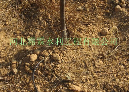 山西红枣果园灌溉压力补偿式头 吕梁柳林县滴灌工程