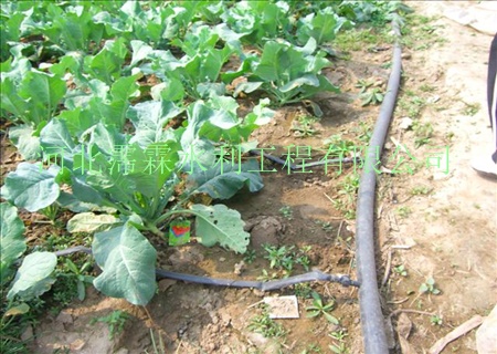 河南濮阳县省-大田膜下滴灌带-优质蔬菜滴水扁管